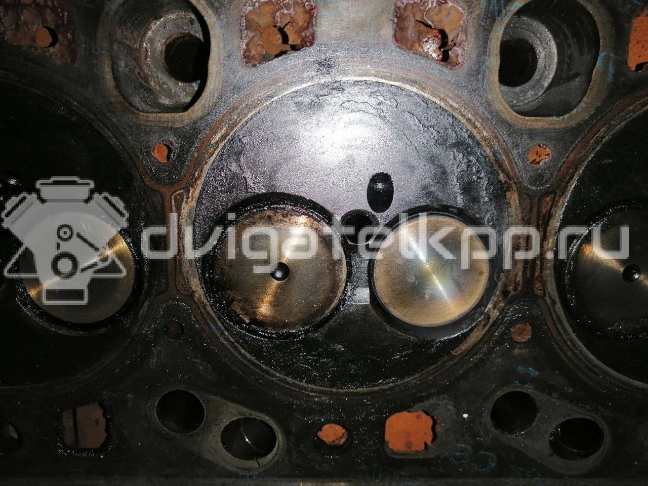 Фото Головка блока  1848114 для ford C-MAX {forloop.counter}}