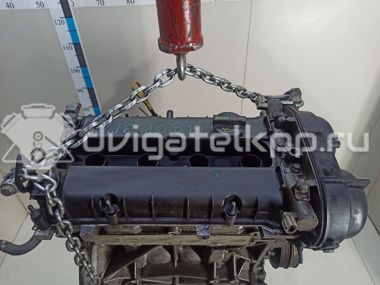 Фото Контрактный (б/у) двигатель CT для Volkswagen / Ford (Changan) 110 л.с 16V 1.5 л бензин 1727626 {forloop.counter}}