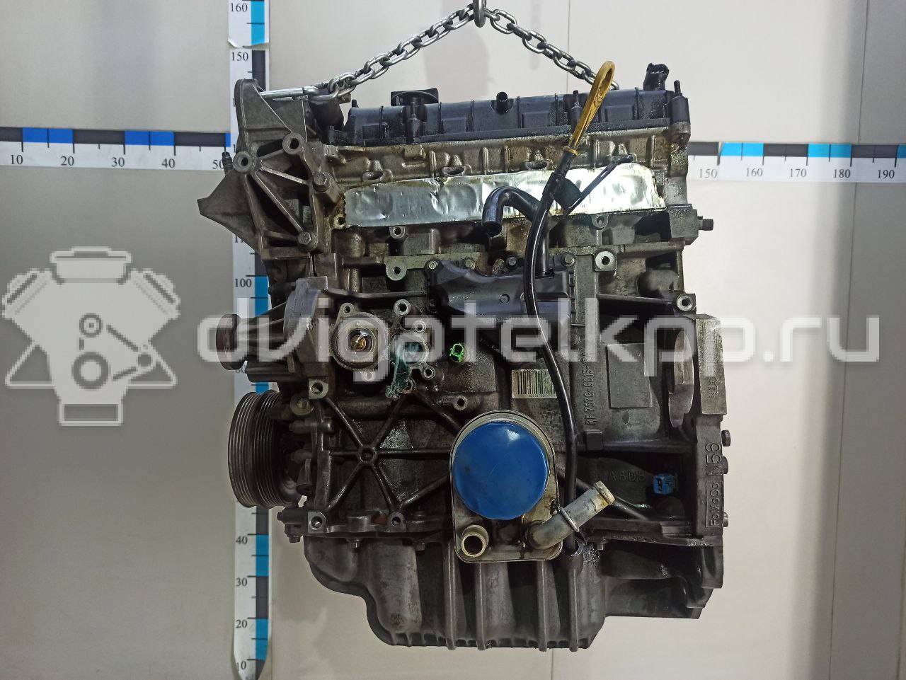 Фото Контрактный (б/у) двигатель PNDA для Ford / Ford Australia 125 л.с 16V 1.6 л бензин 1727626 {forloop.counter}}