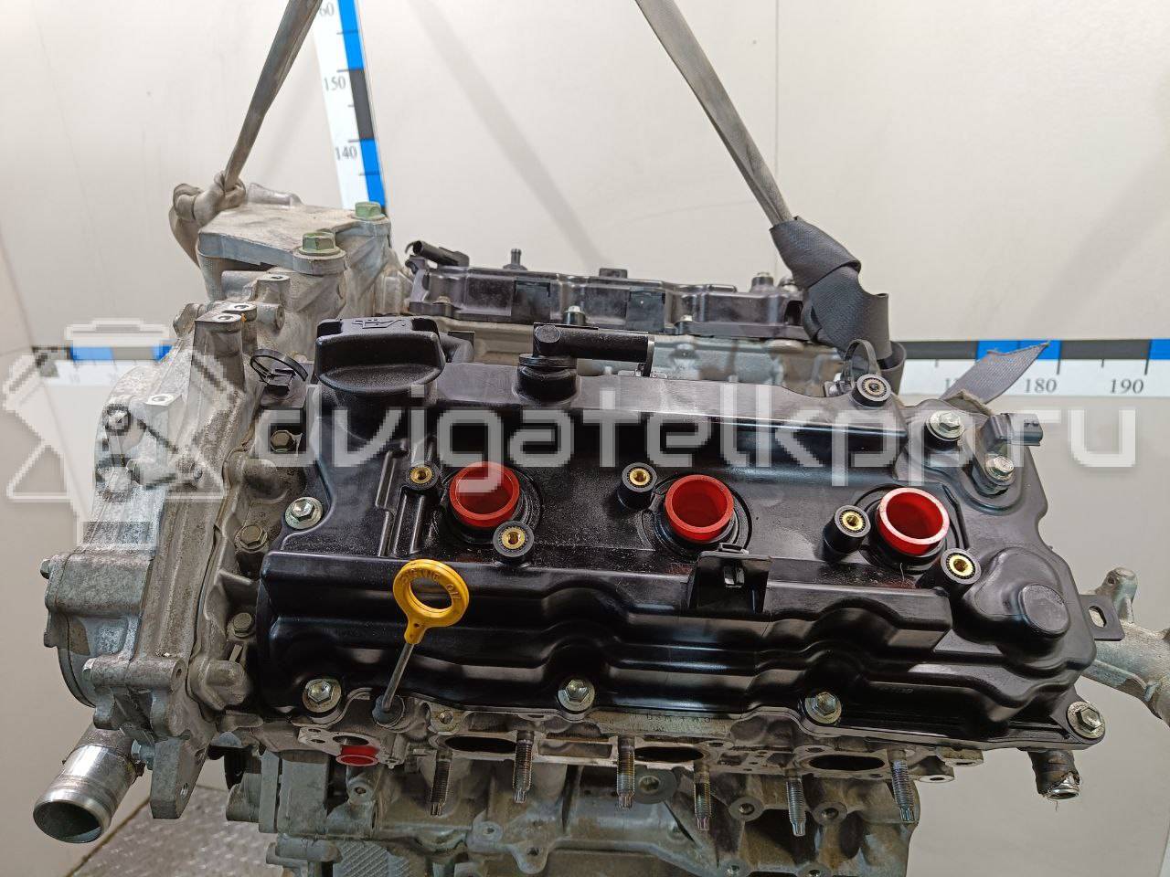 Фото Контрактный (б/у) двигатель VQ25DE для Mitsuoka / Samsung / Nissan / Nissan (Dongfeng) 182-209 л.с 24V 2.5 л бензин 10102JN0A1 {forloop.counter}}