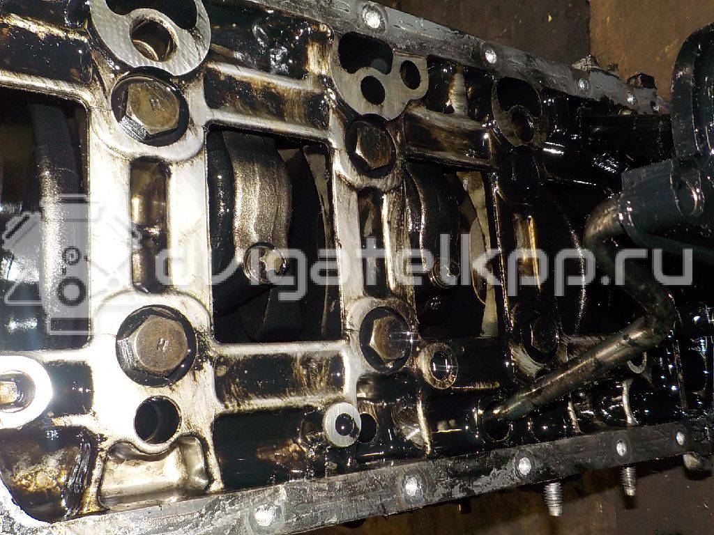 Фото Контрактный (б/у) двигатель  для ford C-MAX  V   1699880 {forloop.counter}}