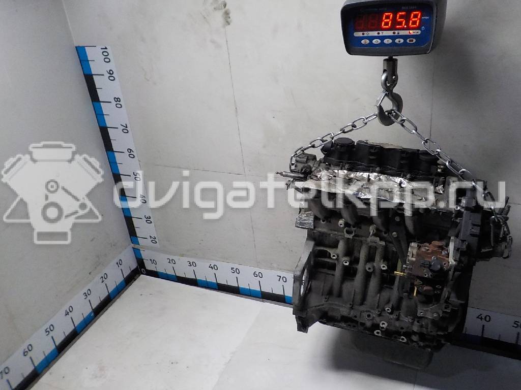 Фото Контрактный (б/у) двигатель HHJB для Ford Fiesta / Fusion Ju 90 л.с 16V 1.6 л Дизельное топливо 1699880 {forloop.counter}}