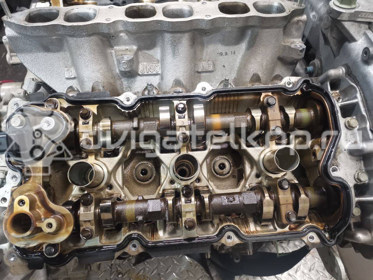 Фото Контрактный (б/у) двигатель VQ25DE для Mitsuoka / Samsung / Nissan 182-209 л.с 24V 2.5 л бензин 10102JN0A1 {forloop.counter}}