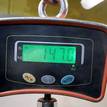 Фото Контрактный (б/у) двигатель FXJB для Ford Fiesta 80 л.с 16V 1.4 л бензин 1734722 {forloop.counter}}