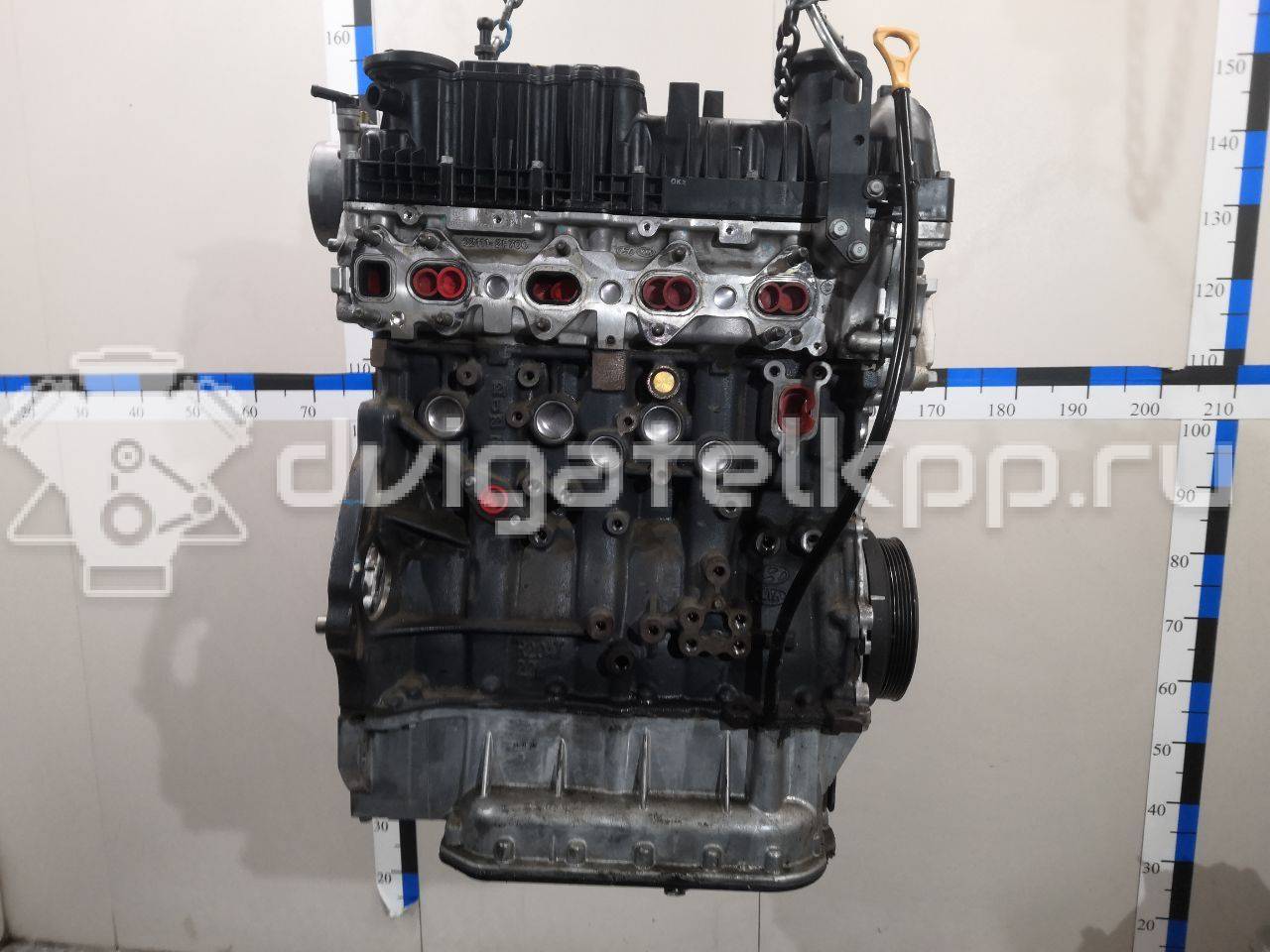 Фото Контрактный (б/у) двигатель D4HB для Hyundai / Kia 197-203 л.с 16V 2.2 л Дизельное топливо 1F0312FH00 {forloop.counter}}