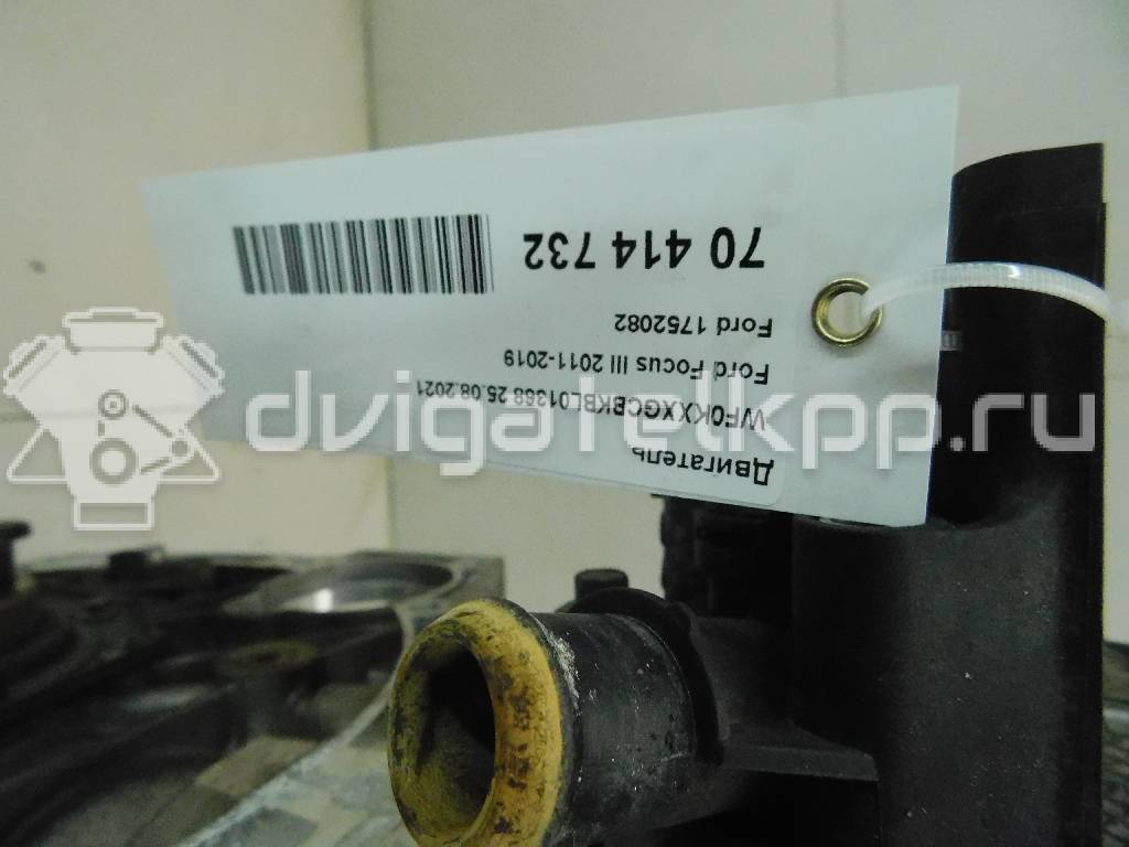 Фото Контрактный (б/у) двигатель PNDA для Ford / Ford Australia 125 л.с 16V 1.6 л бензин 1752082 {forloop.counter}}
