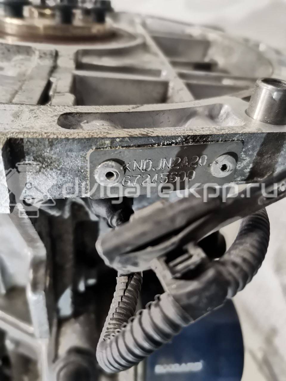 Фото Контрактный (б/у) двигатель G4FD для Hyundai / Kia 132-140 л.с 16V 1.6 л бензин 190P12BH00 {forloop.counter}}