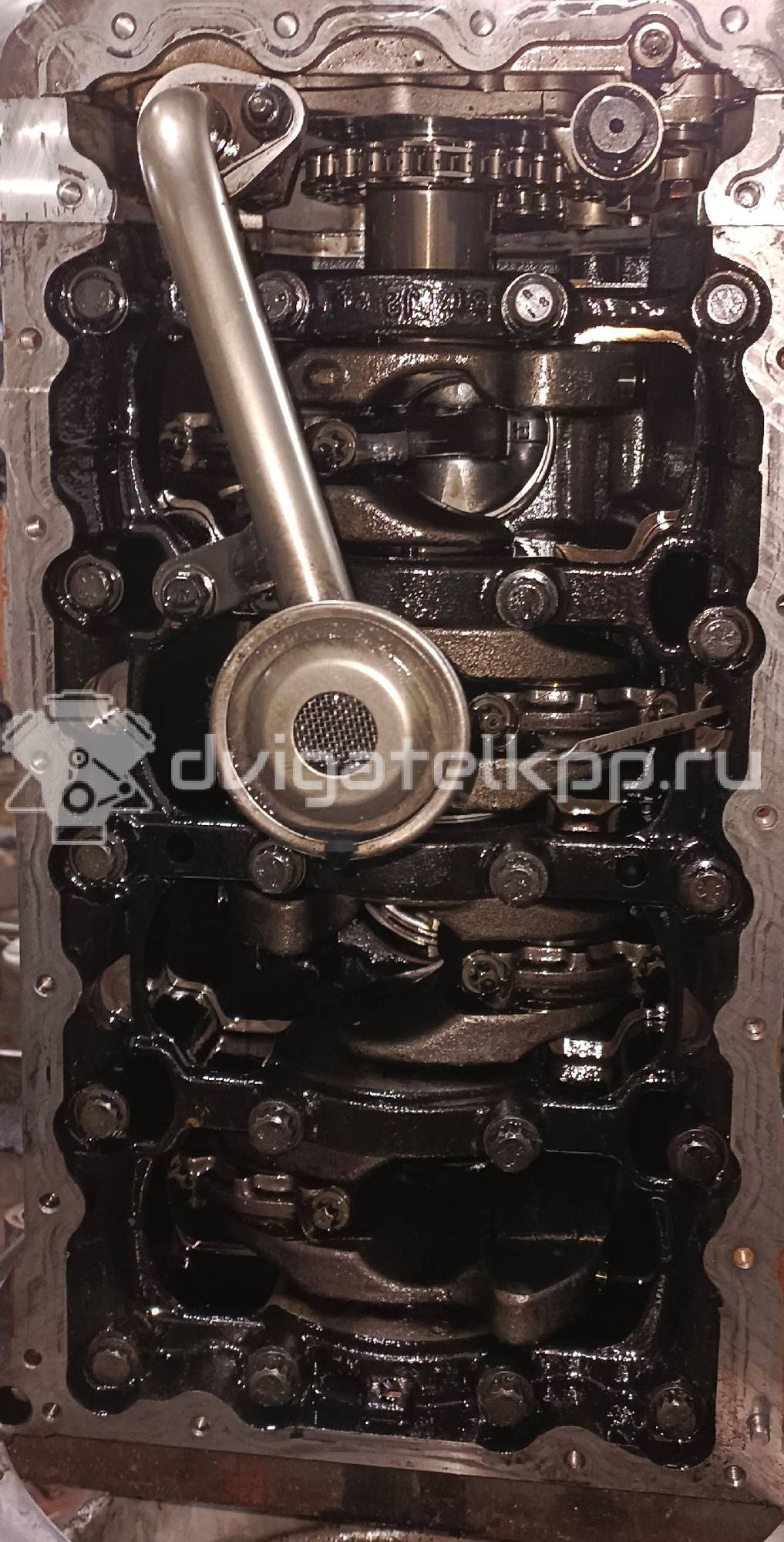 Фото Контрактный (б/у) двигатель D4FD для Hyundai / Kia 116-141 л.с 16V 1.7 л Дизельное топливо 133L12AU00 {forloop.counter}}