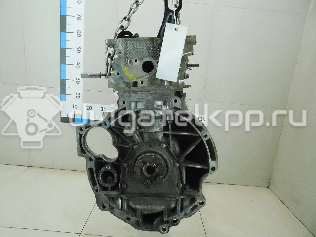 Фото Контрактный (б/у) двигатель PNDA для Ford / Ford Australia 125 л.с 16V 1.6 л бензин 1752082 {forloop.counter}}