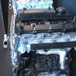 Фото Контрактный (б/у) двигатель GBVAJQJ для Ford Ranger 150 л.с 16V 2.2 л Дизельное топливо {forloop.counter}}