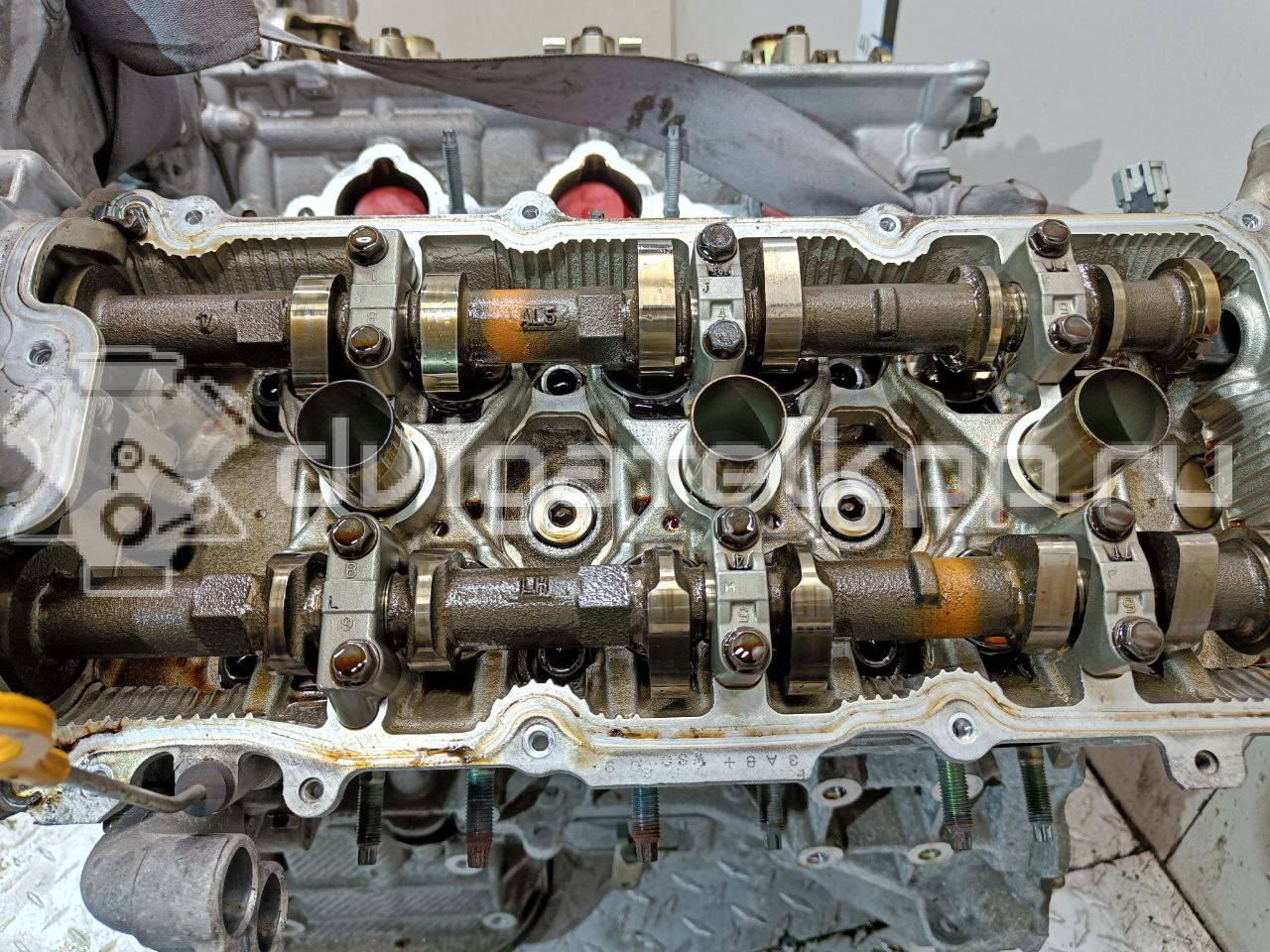 Фото Контрактный (б/у) двигатель VQ35DE для Infiniti / Mitsuoka / Isuzu / Nissan / Nissan (Dongfeng) 218-258 л.с 24V 3.5 л бензин 101029W2AF {forloop.counter}}