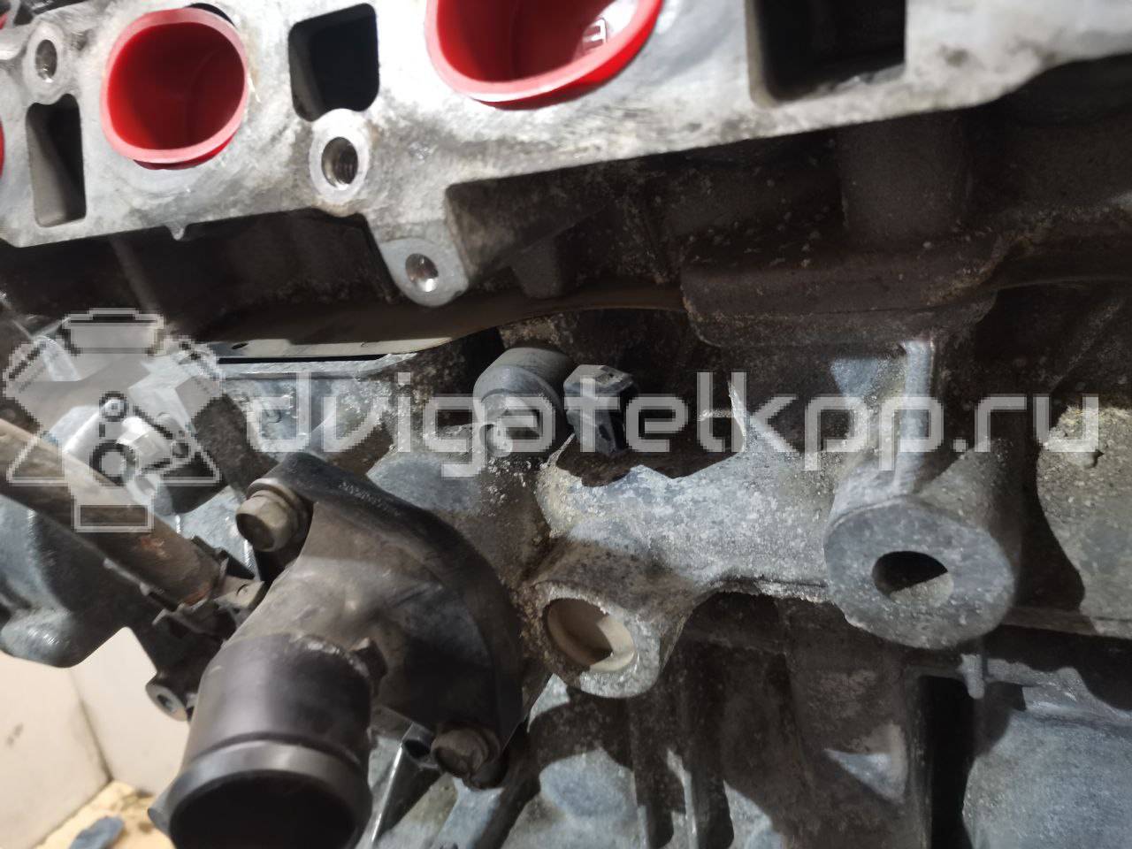 Фото Контрактный (б/у) двигатель MR16 для Nissan (Dongfeng) Tiida 190 л.с 16V 1.6 л бензин 10102BC23F {forloop.counter}}