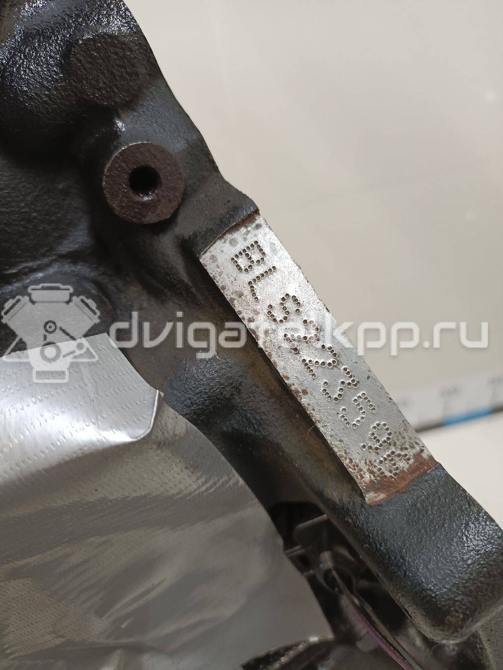 Фото Контрактный (б/у) двигатель BLS для Volkswagen / Seat 105 л.с 8V 1.9 л Дизельное топливо 03G100037H {forloop.counter}}