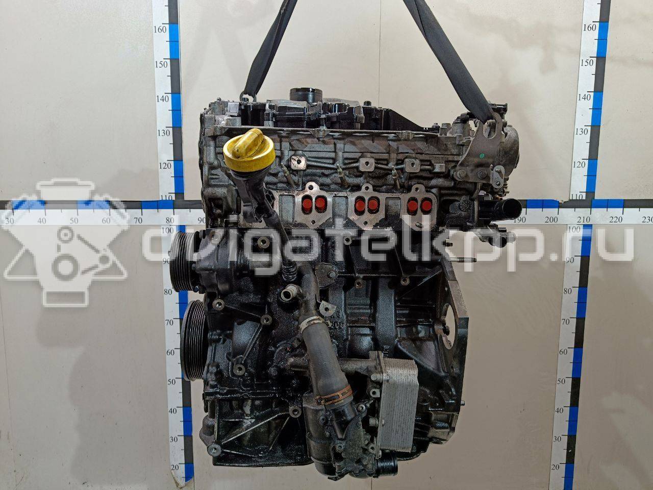 Двигатель m9r для nissan qashqai / x-trail 150-177 л.с 16v 2.0 дизельный  топливо 1010200q1k купить недорого с фото