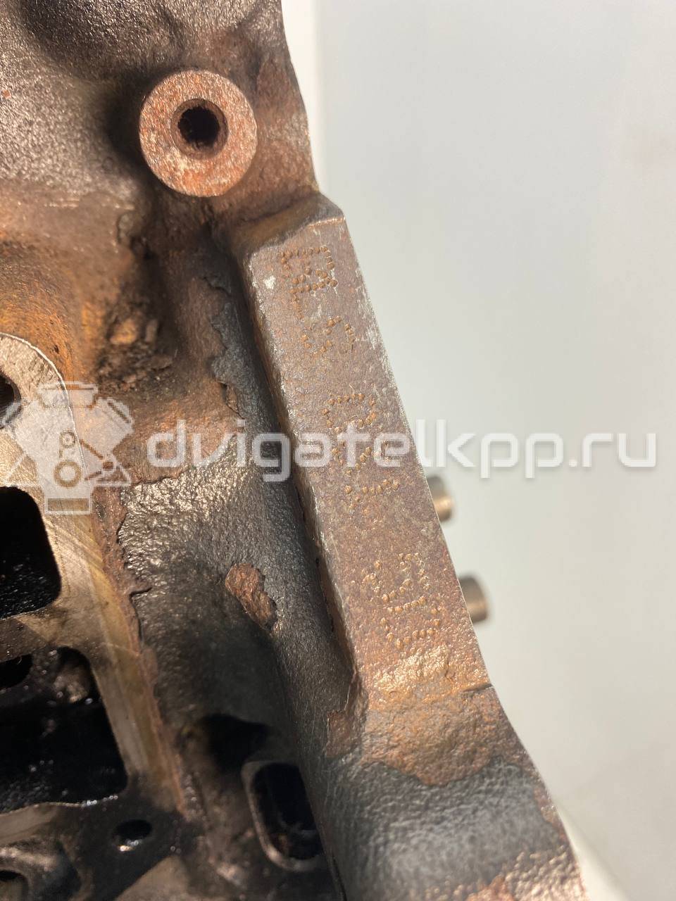 Фото Контрактный (б/у) двигатель BLS для Volkswagen / Seat 105 л.с 8V 1.9 л Дизельное топливо 03G100037H {forloop.counter}}