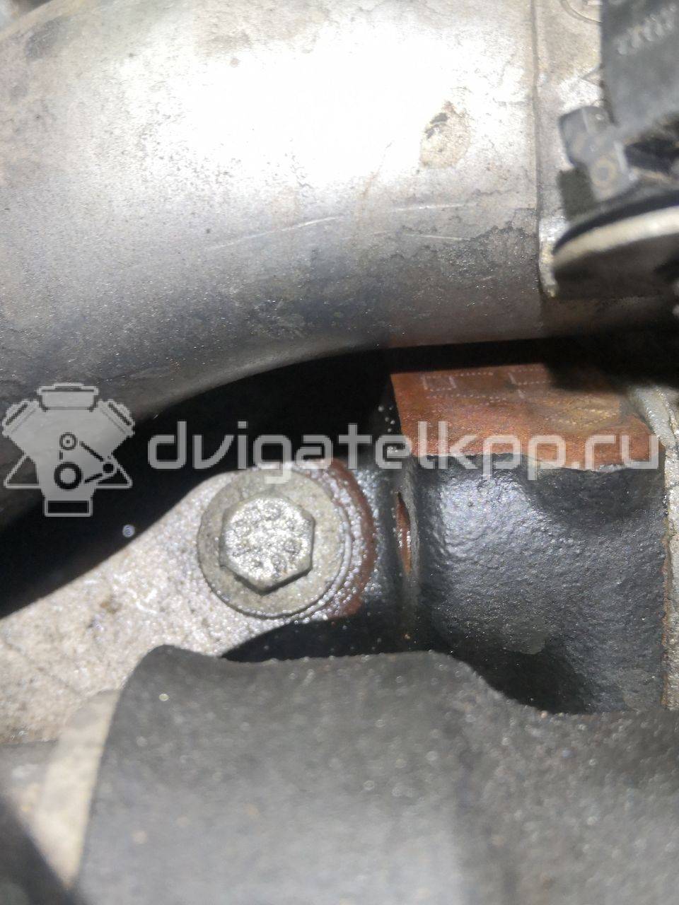 Фото Контрактный (б/у) двигатель V9X для Nissan Np300 / Pathfinder 231-238 л.с 24V 3.0 л Дизельное топливо 1010200Q3R {forloop.counter}}