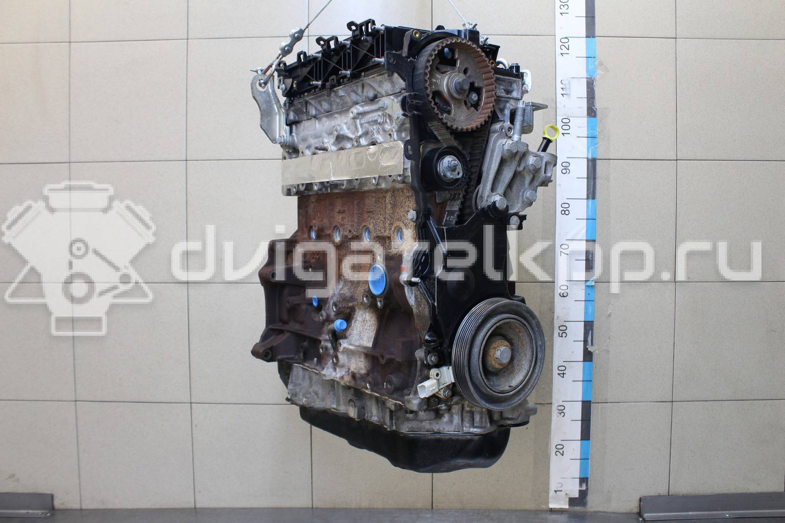 Фото Контрактный (б/у) двигатель TXBB для Ford Australia Mondeo 163 л.с 16V 2.0 л Дизельное топливо 1838469 {forloop.counter}}