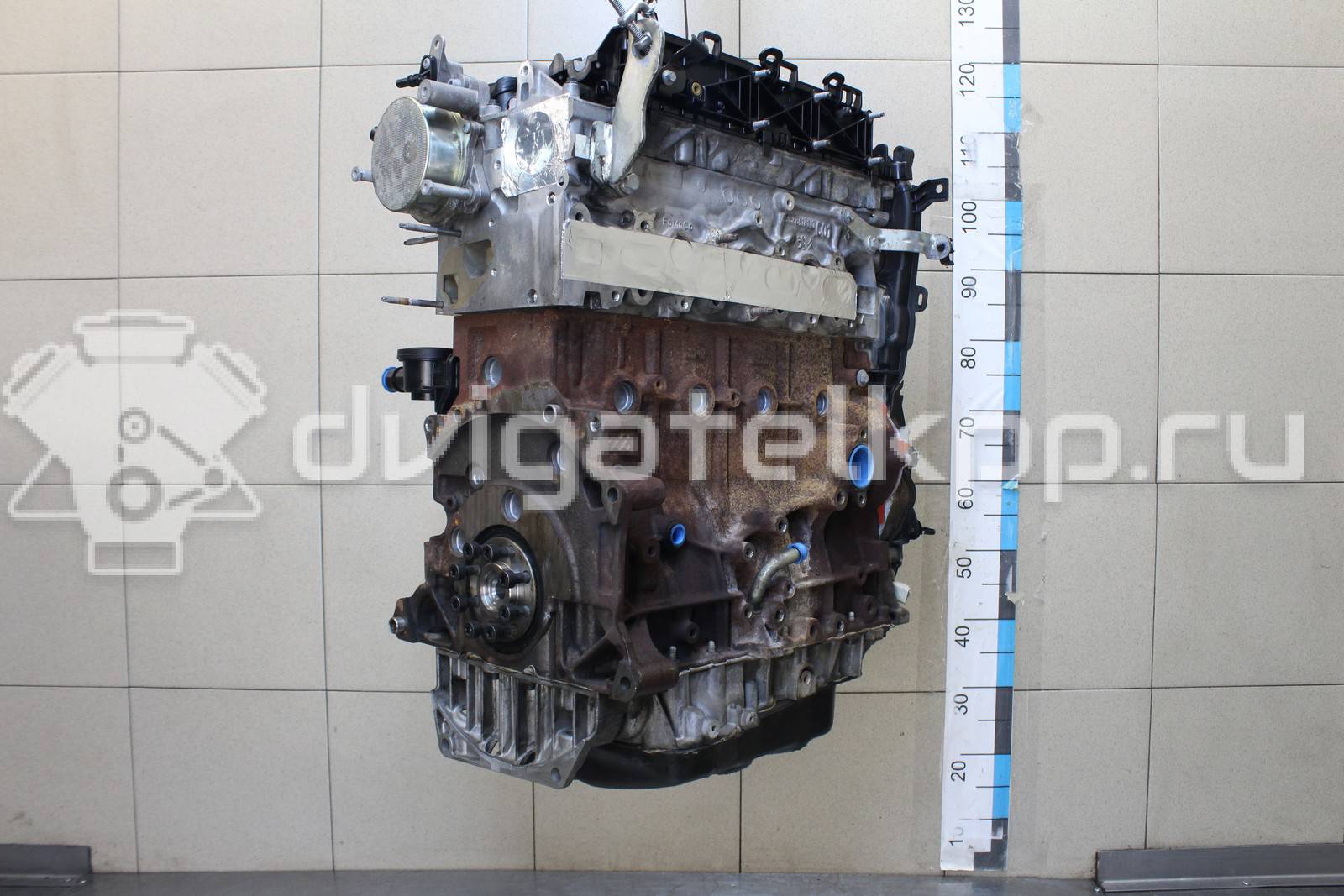 Фото Контрактный (б/у) двигатель TXBB для Ford Australia Mondeo 163 л.с 16V 2.0 л Дизельное топливо 1838469 {forloop.counter}}