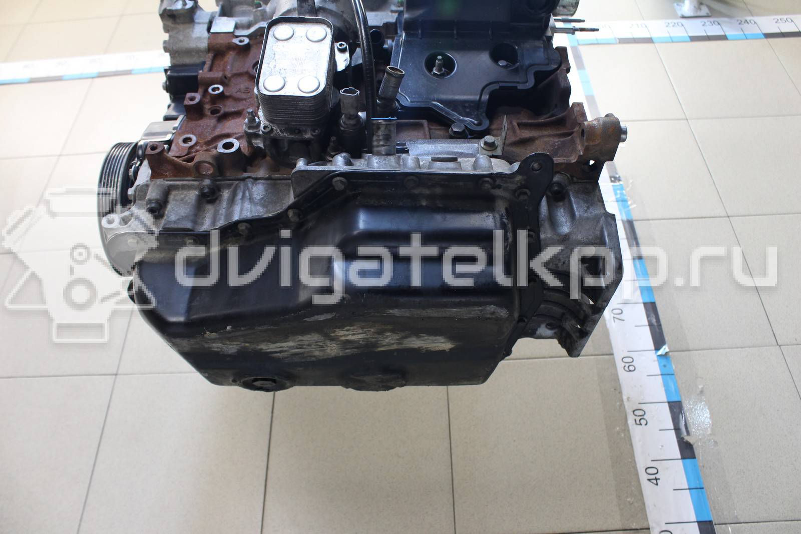 Фото Контрактный (б/у) двигатель TXBB для Ford Australia Mondeo 163 л.с 16V 2.0 л Дизельное топливо 1838469 {forloop.counter}}