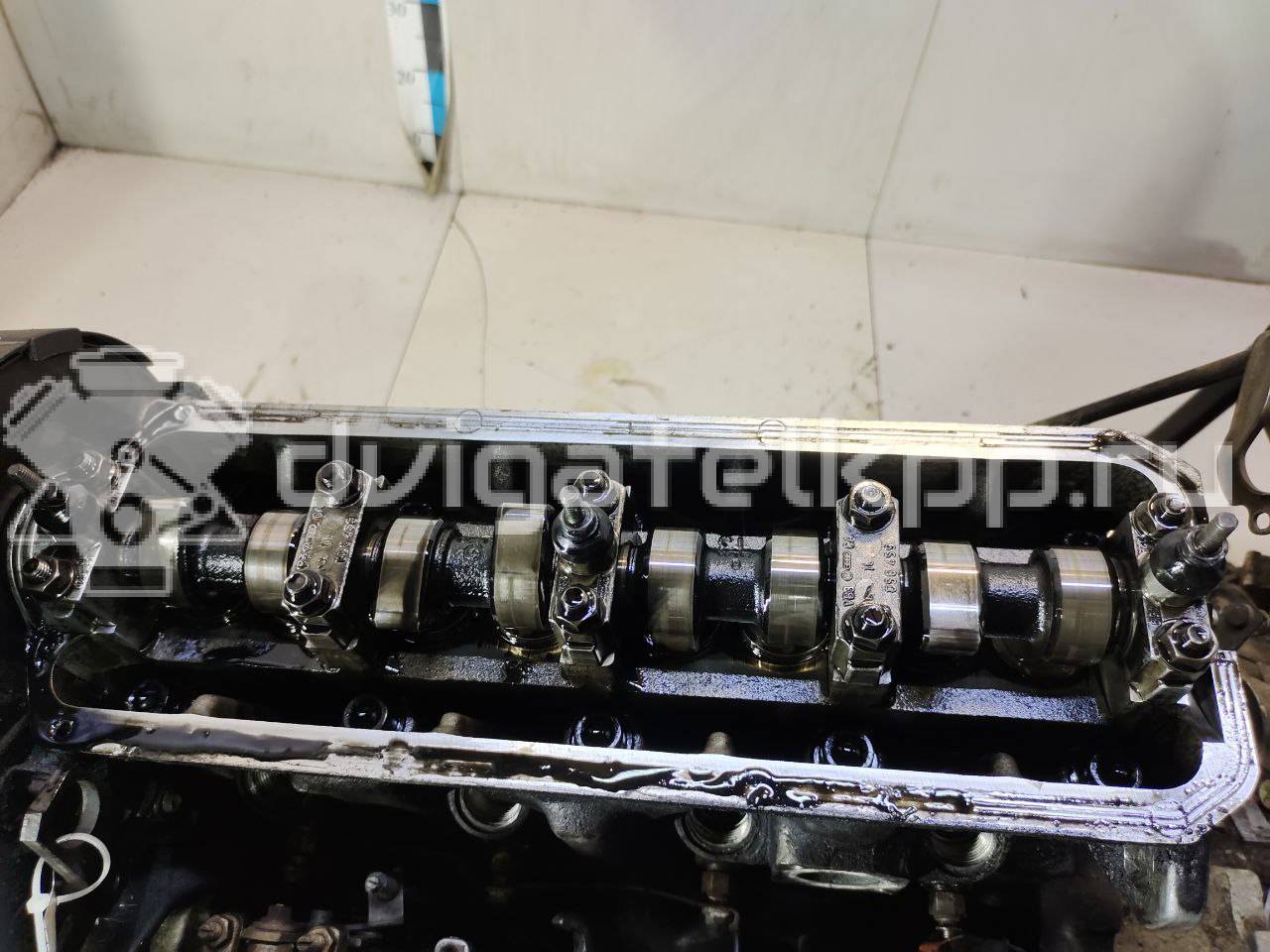 Фото Контрактный (б/у) двигатель ABL для Volkswagen Transporter 68 л.с 8V 1.9 л Дизельное топливо 028100035B {forloop.counter}}