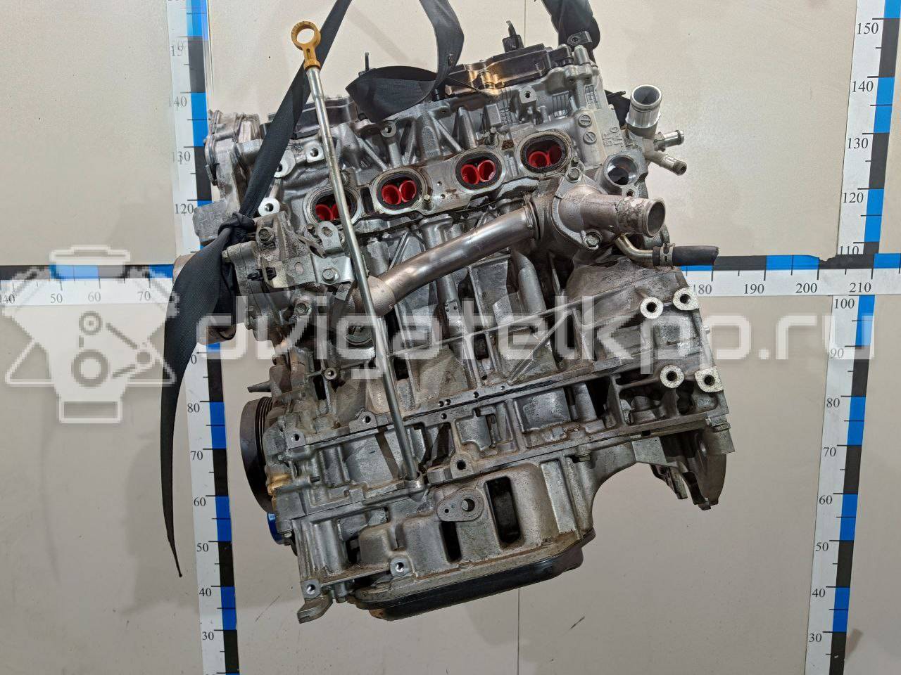 Фото Контрактный (б/у) двигатель QR25DE для Nissan (Dongfeng) / Suzuki / Mitsuoka / Nissan 141-182 л.с 16V 2.5 л бензин 10102JG3AC {forloop.counter}}