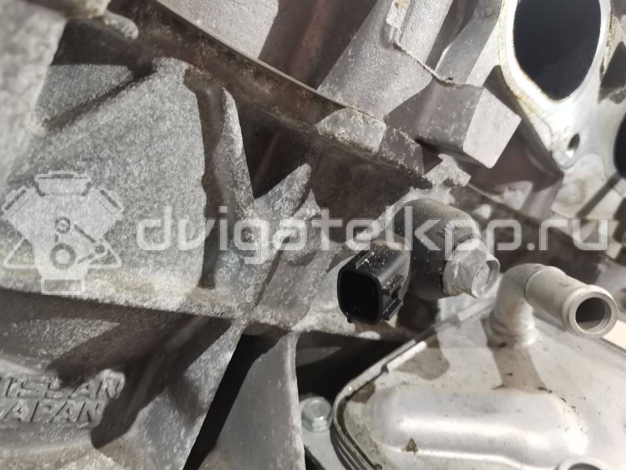 Фото Контрактный (б/у) двигатель QR25DE для Nissan (Dongfeng) / Suzuki / Mitsuoka / Nissan 147-186 л.с 16V 2.5 л бензин 10102JC20B {forloop.counter}}