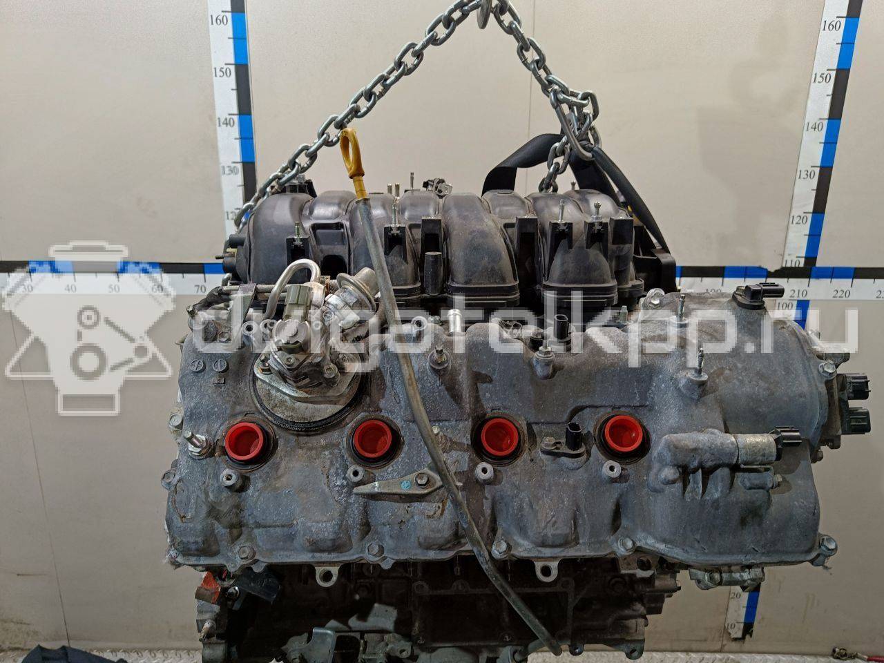 Фото Контрактный (б/у) двигатель 2UR-FSE для Lexus / Toyota 394-445 л.с 32V 5.0 л бензин 1900038220 {forloop.counter}}