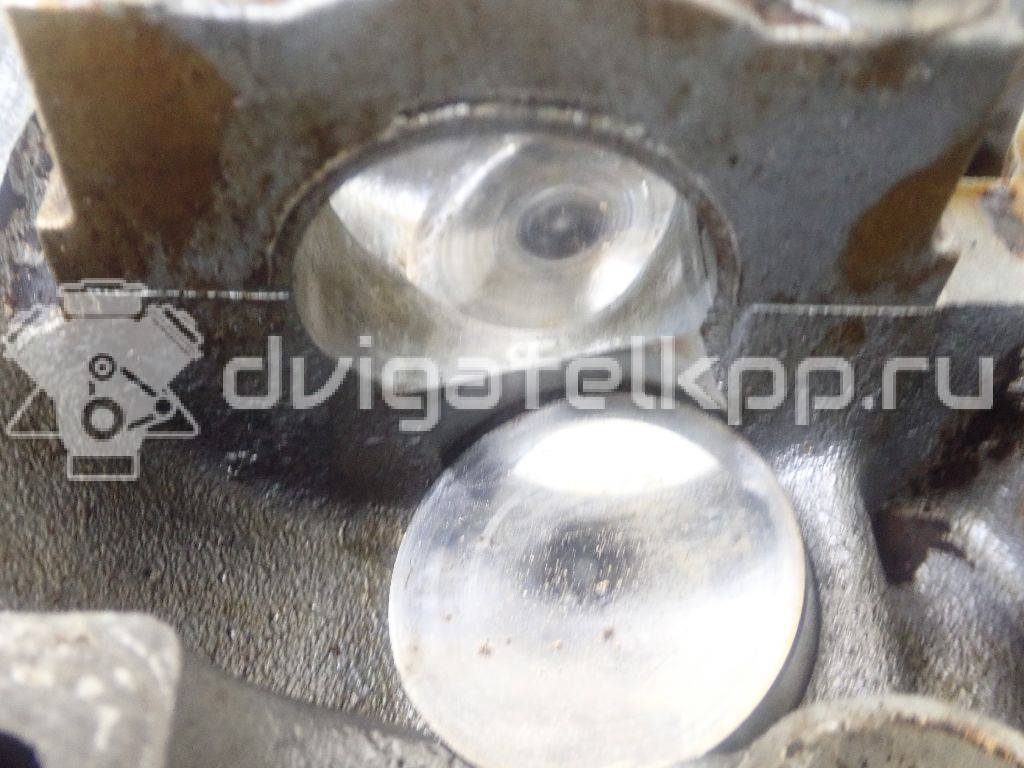 Фото Головка блока  55565451 для Vauxhall / Saturn / Chevrolet / Holden / Daewoo / Opel / Chevrolet (Sgm) {forloop.counter}}