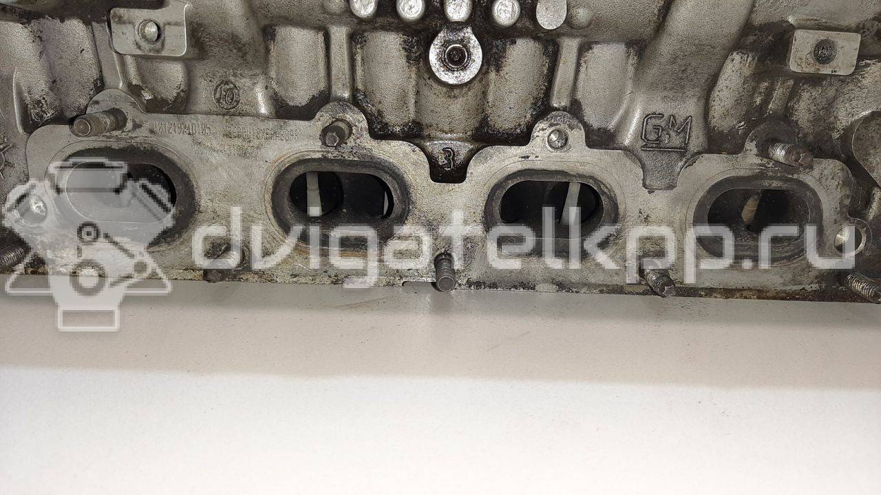 Фото Головка блока  55565451 для Vauxhall / Saturn / Chevrolet / Holden / Daewoo / Opel / Chevrolet (Sgm) {forloop.counter}}