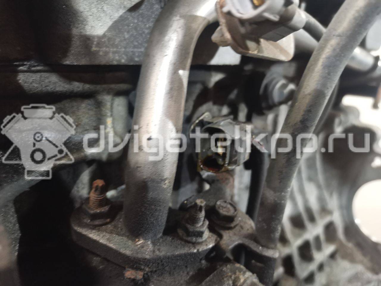 Фото Контрактный (б/у) двигатель 1ZZ-FE для Lotus / Pontiac / Toyota / Toyota (Faw) 135-136 л.с 16V 1.8 л бензин 190000D191 {forloop.counter}}