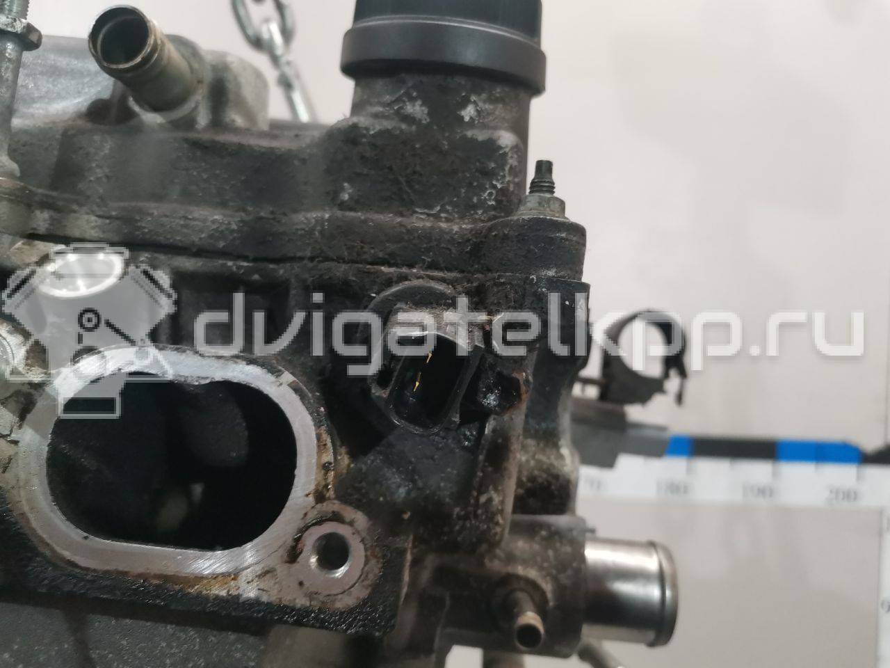 Фото Контрактный (б/у) двигатель 1ZZ-FE для Lotus / Pontiac / Toyota / Toyota (Faw) 135-136 л.с 16V 1.8 л бензин 190000D191 {forloop.counter}}