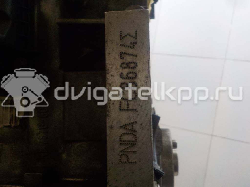 Фото Контрактный (б/у) двигатель PNDA для Ford / Ford Australia 125 л.с 16V 1.6 л бензин {forloop.counter}}