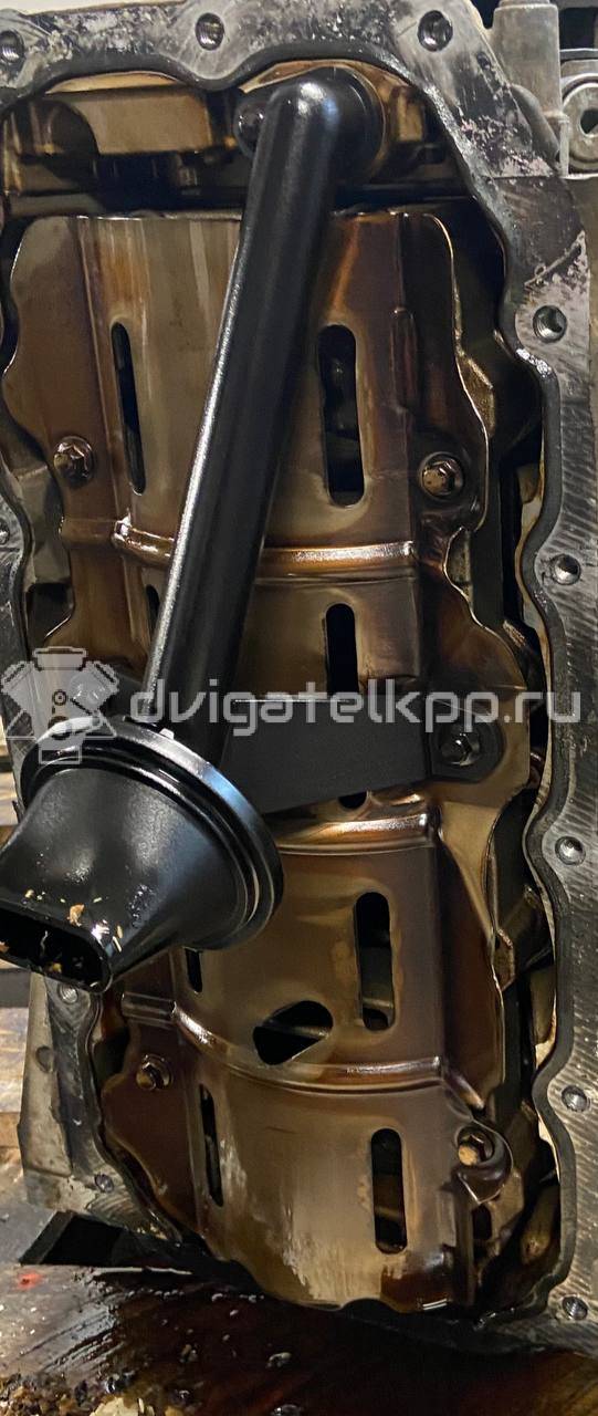 Фото Контрактный (б/у) двигатель PNDA для Ford / Ford Australia 125 л.с 16V 1.6 л бензин {forloop.counter}}