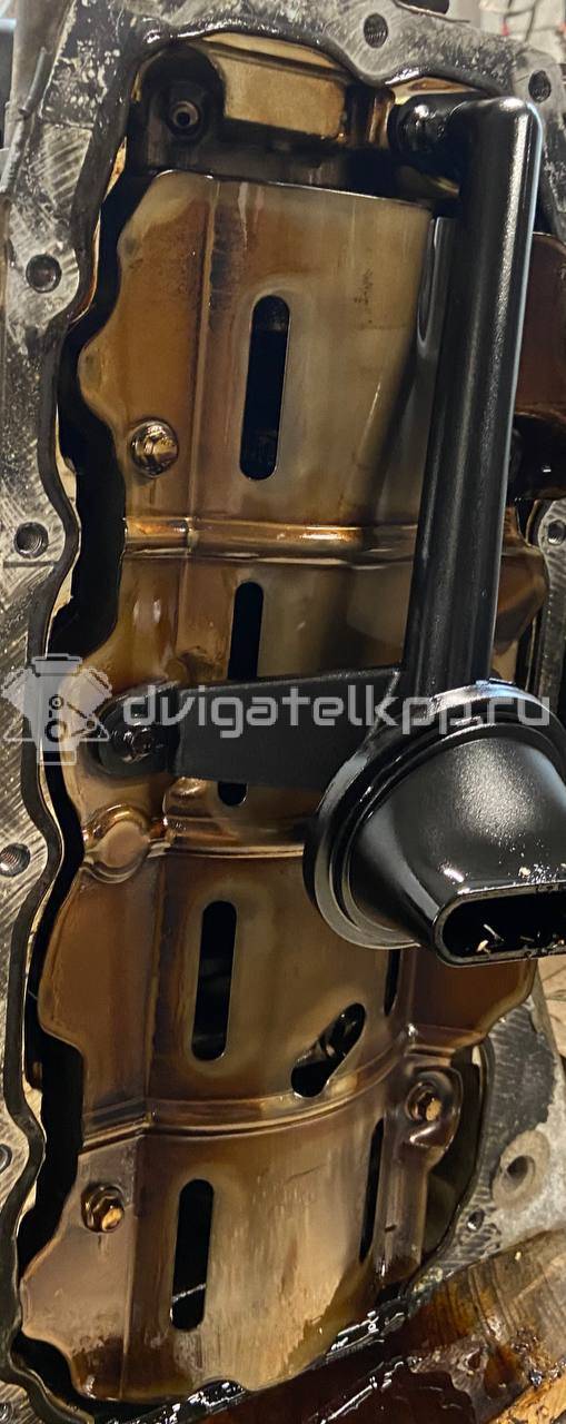 Фото Контрактный (б/у) двигатель PNDA для Ford / Ford Australia 125 л.с 16V 1.6 л бензин {forloop.counter}}
