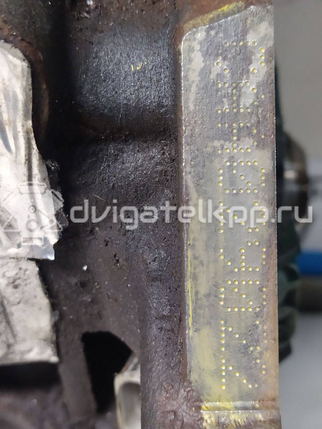 Фото Контрактный (б/у) двигатель CAAB для Volkswagen Transporter / Multivan 102 л.с 16V 2.0 л Дизельное топливо 03L100032M {forloop.counter}}