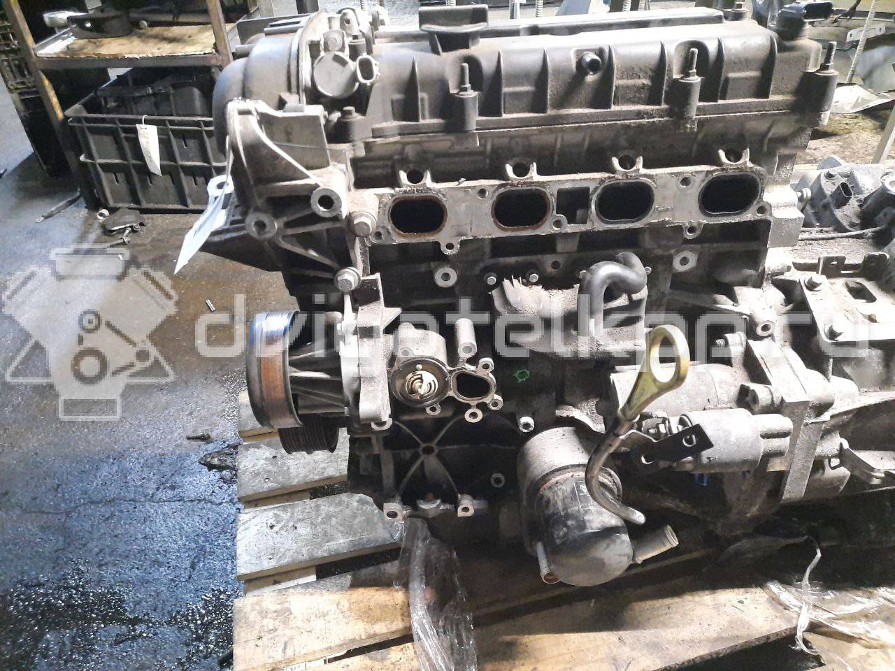 Фото Контрактный (б/у) двигатель PNDA для Ford Australia Focus 125 л.с 16V 1.6 л бензин 1727626 {forloop.counter}}