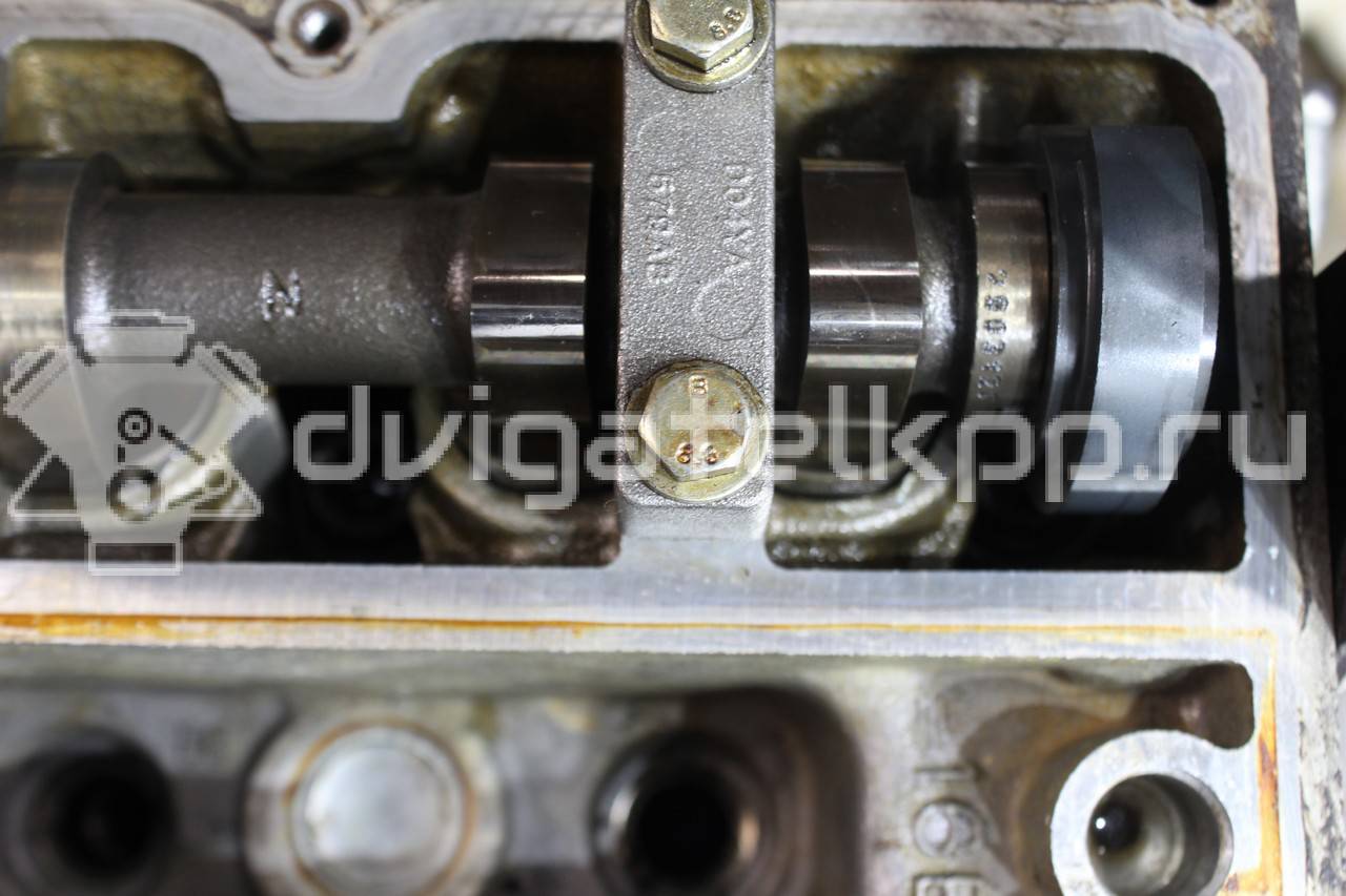 Фото Контрактный (б/у) двигатель PNDA для Ford / Ford Australia 125 л.с 16V 1.6 л бензин 1752082 {forloop.counter}}