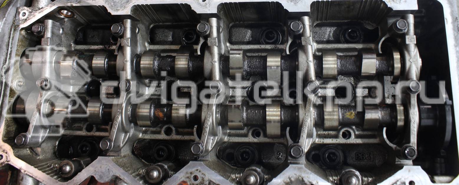 Фото Контрактный (б/у) двигатель YD25DDTi для Nissan Bassara / Nv350 E26 / Serena / Sani / Presage 100-190 л.с 16V 2.5 л Дизельное топливо 10102EB30A {forloop.counter}}