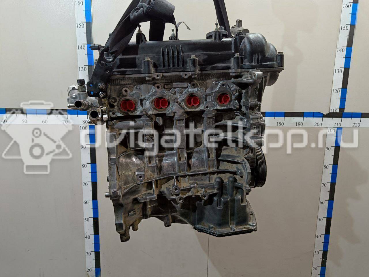 Фото Контрактный (б/у) двигатель G4FG для Hyundai (Beijing) / Hyundai / Kia 123-128 л.с 16V 1.6 л бензин WG1112BW00 {forloop.counter}}