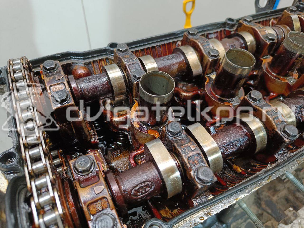 Фото Контрактный (б/у) двигатель G4EE для Inokom / Kia 71 л.с 16V 1.4 л бензин KZ38302100 {forloop.counter}}