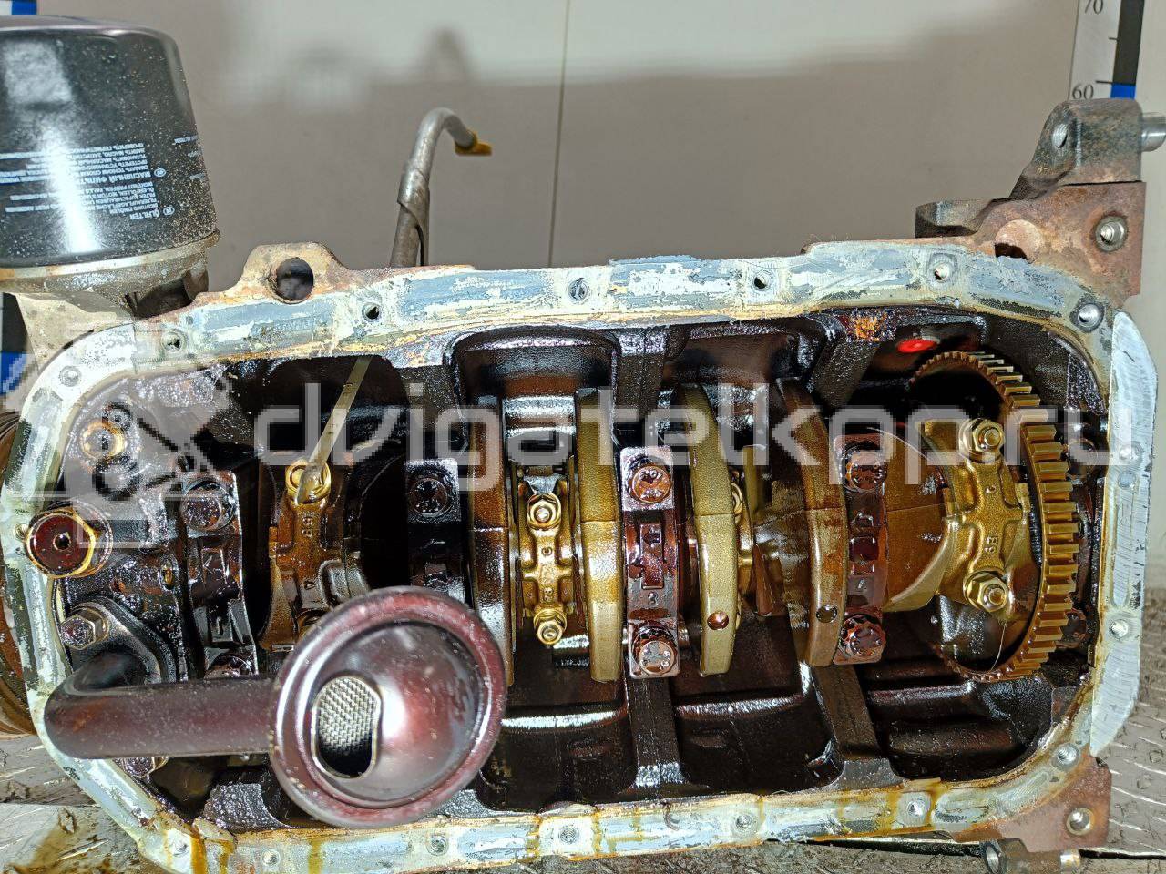 Фото Контрактный (б/у) двигатель G4EE для Hyundai (Beijing) / Kia 95 л.с 16V 1.4 л бензин KZ38302100 {forloop.counter}}