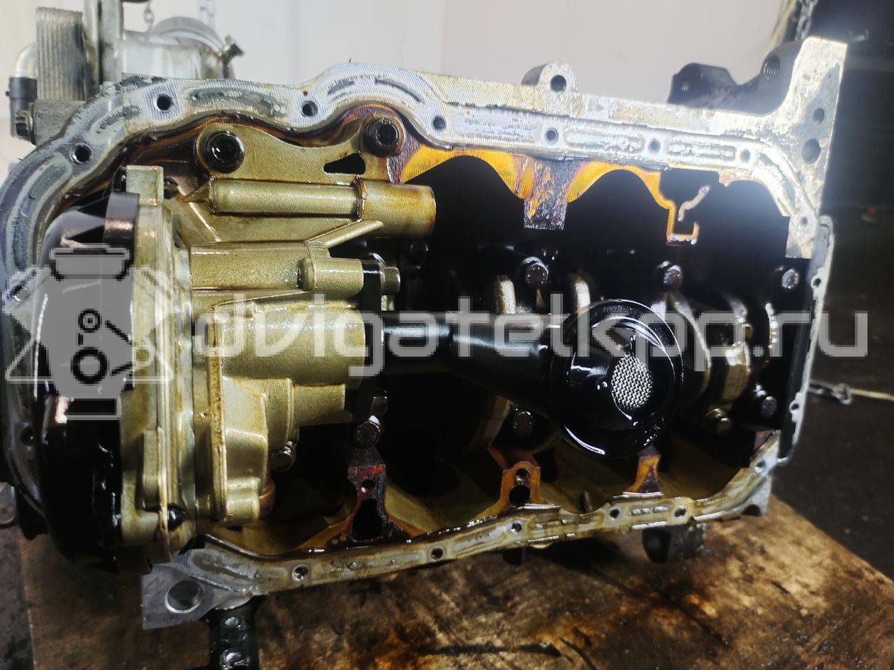 Фото Контрактный (б/у) двигатель CBZA для Volkswagen / Skoda 86 л.с 8V 1.2 л бензин 03F100091A {forloop.counter}}