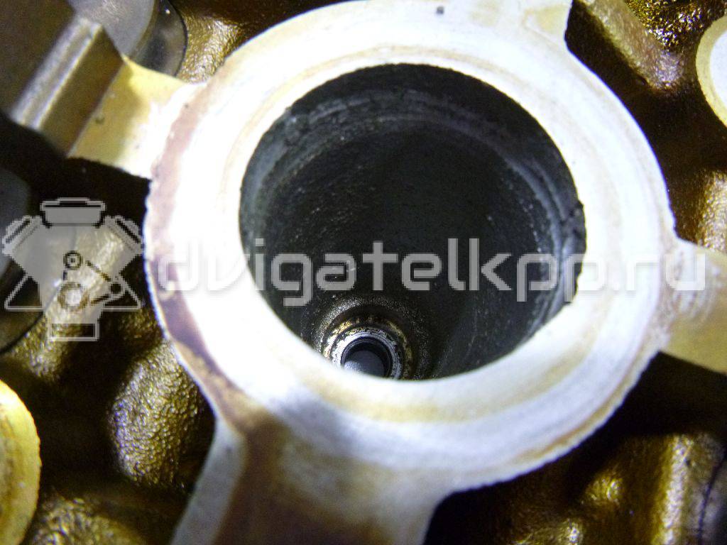 Фото Головка блока  55565451 для Vauxhall / Saturn / Chevrolet / Holden / Daewoo / Opel / Chevrolet (Sgm) {forloop.counter}}