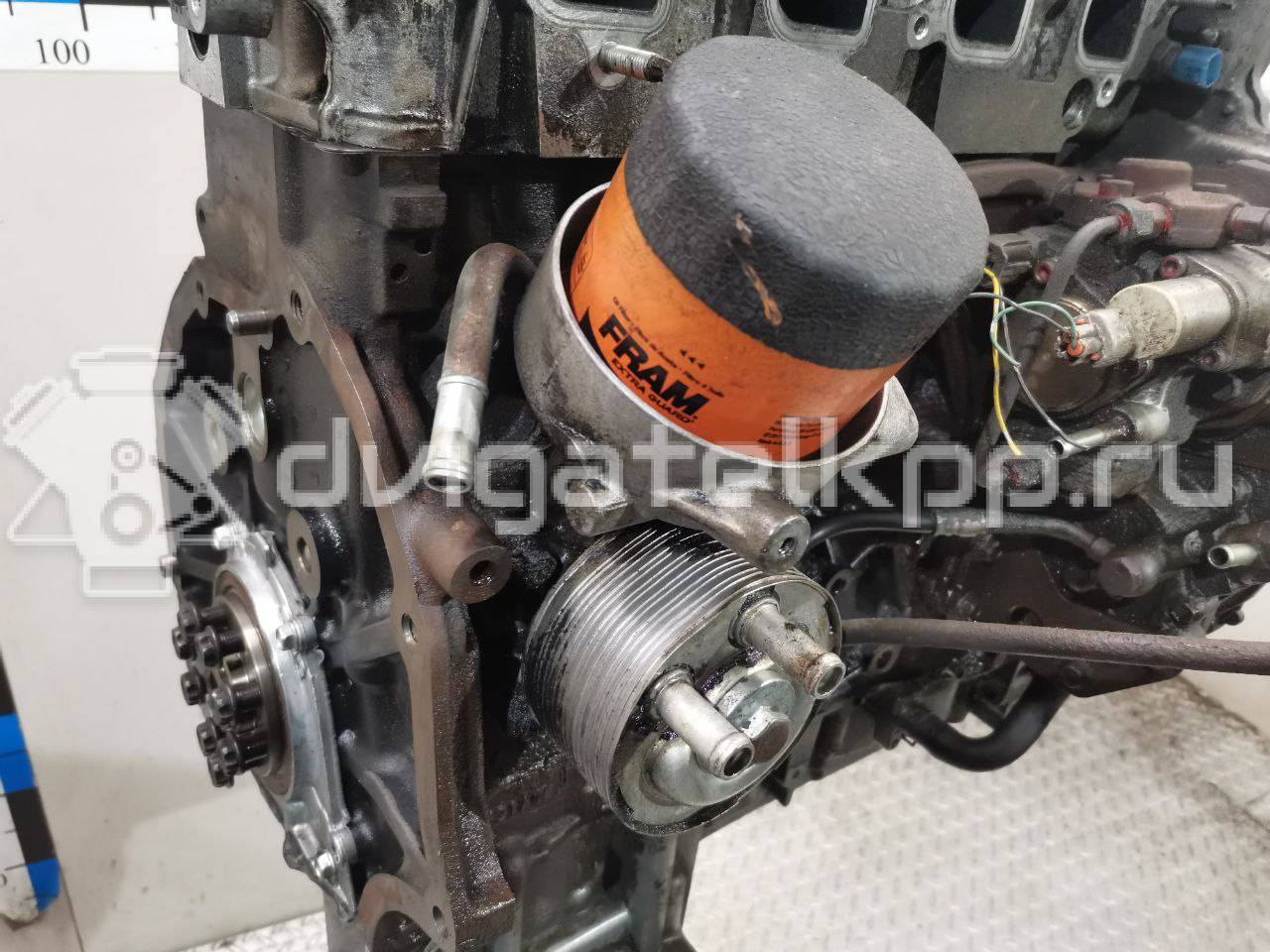 Фото Контрактный (б/у) двигатель YD25DDTi для Nissan Bassara / Nv350 E26 / Serena / Sani / Presage 100-190 л.с 16V 2.5 л Дизельное топливо 10102EB30A {forloop.counter}}