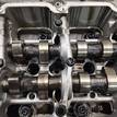 Фото Контрактный (б/у) двигатель YD25DDTi для Nissan Bassara / Nv350 E26 / Serena / Sani / Presage 100-190 л.с 16V 2.5 л Дизельное топливо 10102EB30A {forloop.counter}}