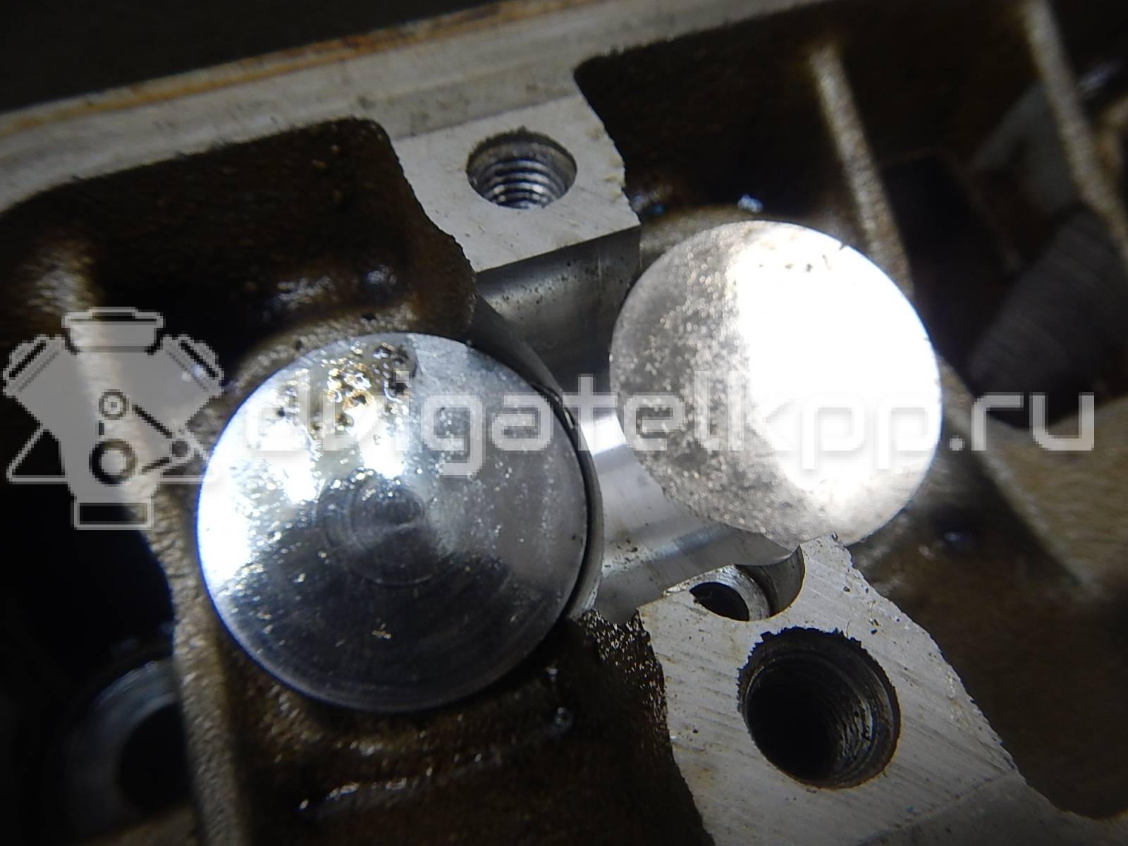 Фото Головка блока  1481576 для ford B-MAX {forloop.counter}}