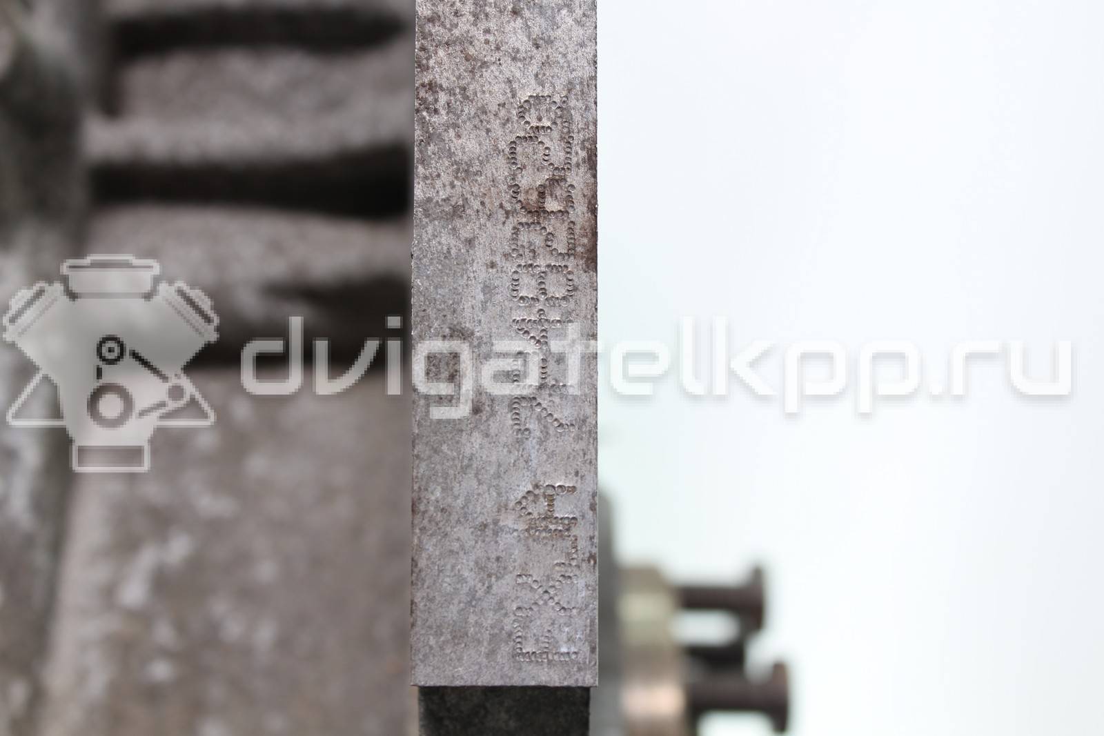 Фото Контрактный (б/у) двигатель XMJA для Ford Fiesta 65 л.с 12V 1.0 л бензин 1734722 {forloop.counter}}