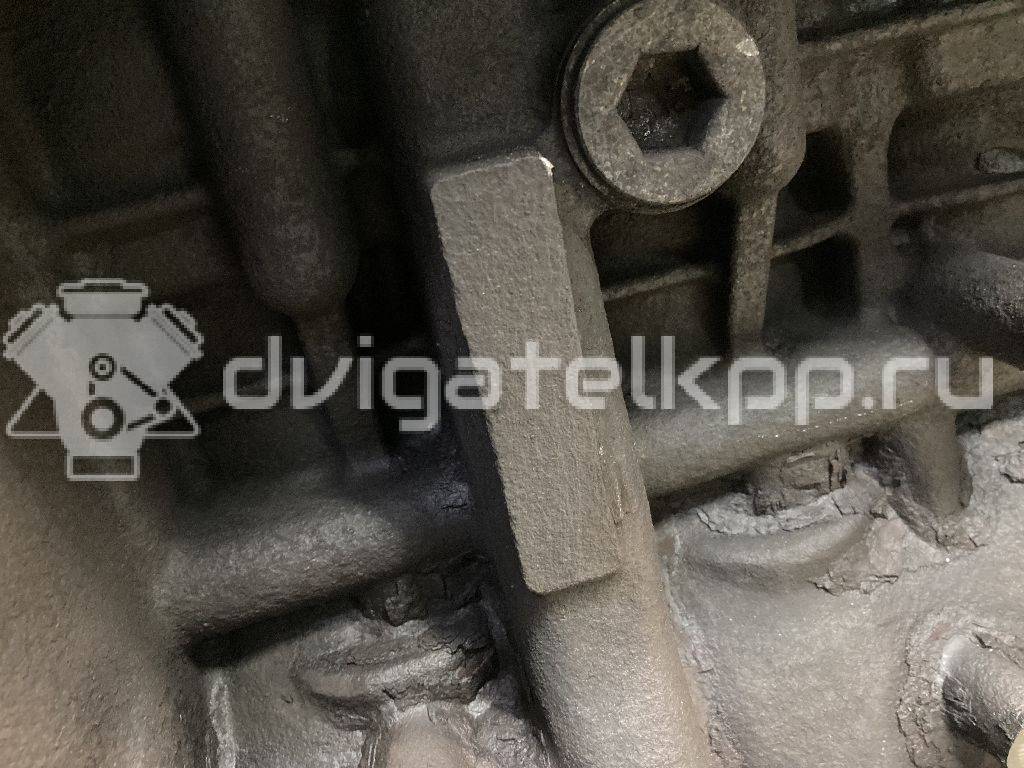 Фото Контрактный (б/у) двигатель P8FB для Ford Transit 85 л.с 16V 2.2 л Дизельное топливо 1709003 {forloop.counter}}