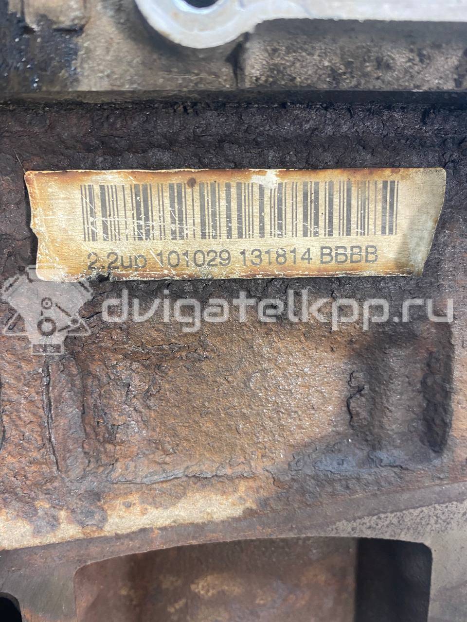 Фото Контрактный (б/у) двигатель QVFA для Ford / Ford Australia 110 л.с 16V 2.2 л Дизельное топливо 1709003 {forloop.counter}}