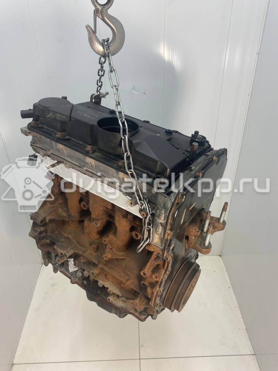 Фото Контрактный (б/у) двигатель QVFA для Ford / Ford Australia 110 л.с 16V 2.2 л Дизельное топливо 1709003 {forloop.counter}}